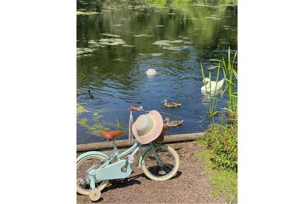 Gingersnap 12" Wheel Junior Bikes Bobbin