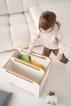 Coffre à Jouets et Livres sur Roulettes BIG-BOX