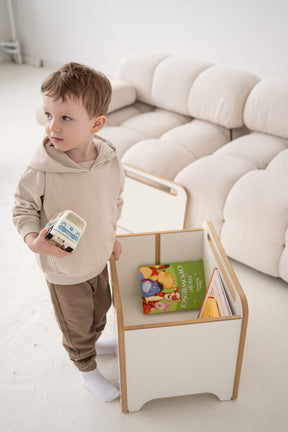 Coffre à Jouets et Livres sur Roulettes BIG-BOX