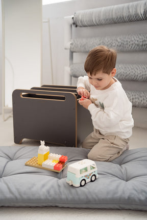 Coffre à Jouets et Livres sur Roulettes BIG-BOX