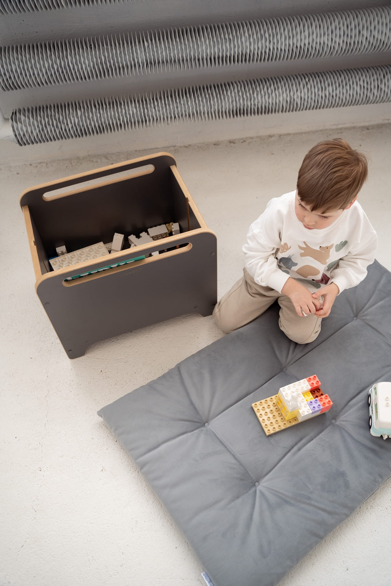 Coffre à Jouets et Livres sur Roulettes BIG-BOX