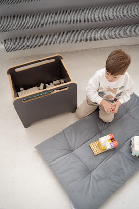 Coffre à Jouets et Livres sur Roulettes BIG-BOX